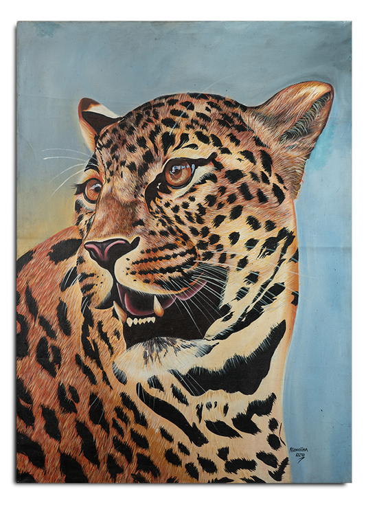 Leopard