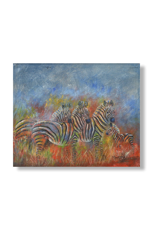 Zebra family